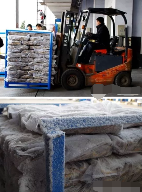 龍工冷庫(kù)電動(dòng)叉車(chē)