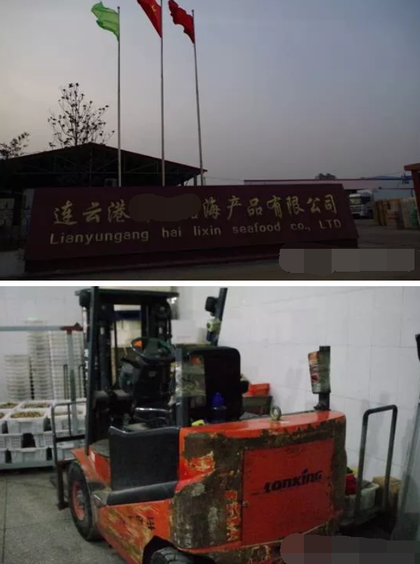 龍工冷庫(kù)電動(dòng)叉車(chē)