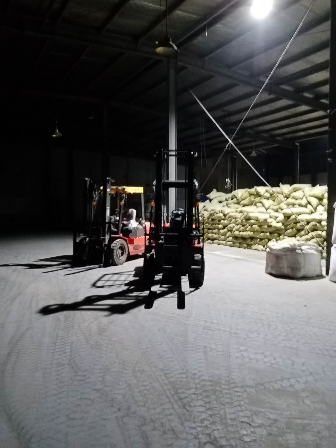 龍工化工專(zhuān)用叉車(chē)